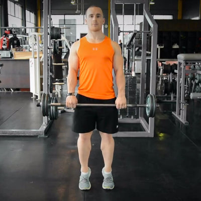 Calves - Standing Barbell Calf Raises Technique