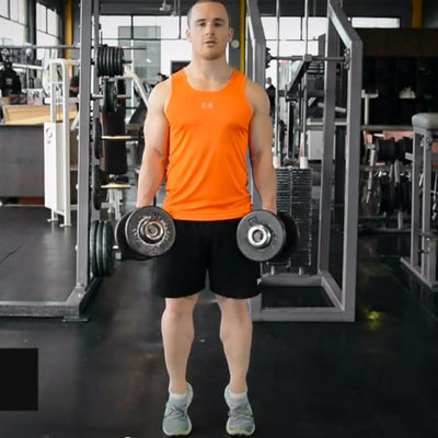 Calves - Dumbell Calf Raises