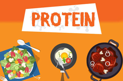 Different types of Protein!