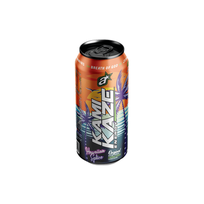 Kamikaze RTD & ATHSPRT-KamRTD-Case12-Haw