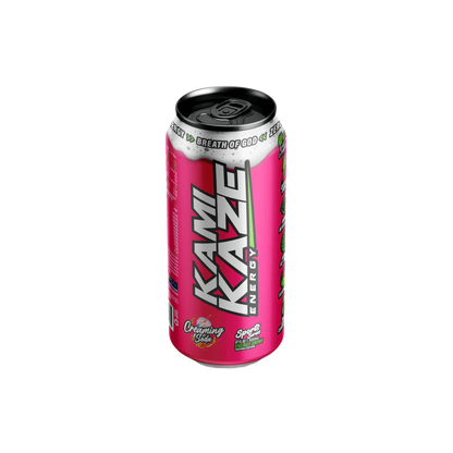 Kamikaze RTD (3) & ATHSPRT-KamRTD-Case12-Crm